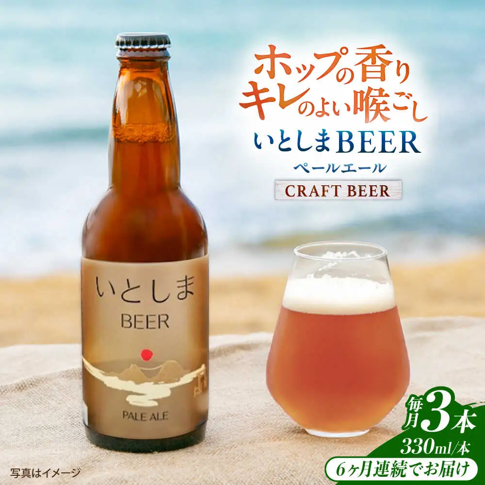 【全6回定期便】 いとしまBEER (ペールエール) 330ml×3本 糸島市 / 蔵屋 クラフトビール[AUA048]
