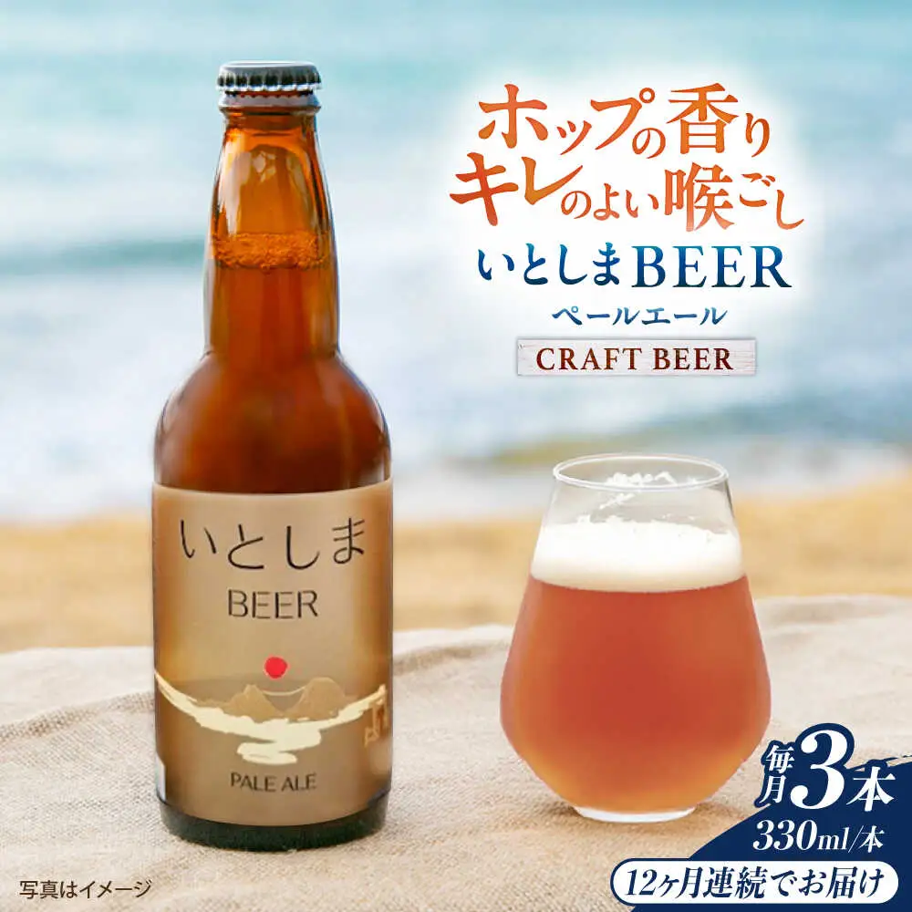 【全12回定期便】 いとしまBEER (ペールエール) 330ml×3本 糸島市 / 蔵屋 クラフトビール[AUA049]
