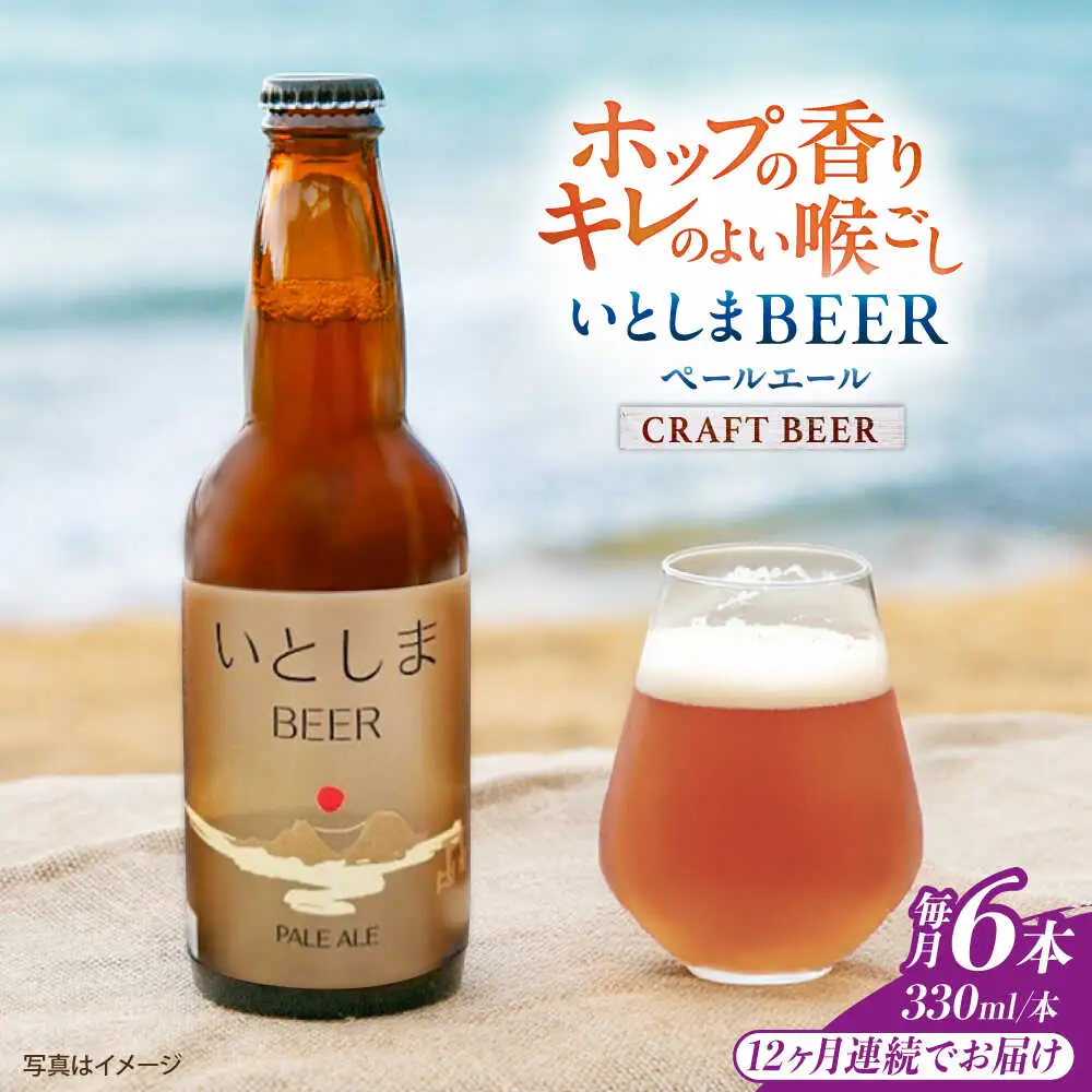 【全12回定期便】いとしまBEER (ペールエール) 330ml×6本 糸島市 / 蔵屋 クラフトビール[AUA052]
