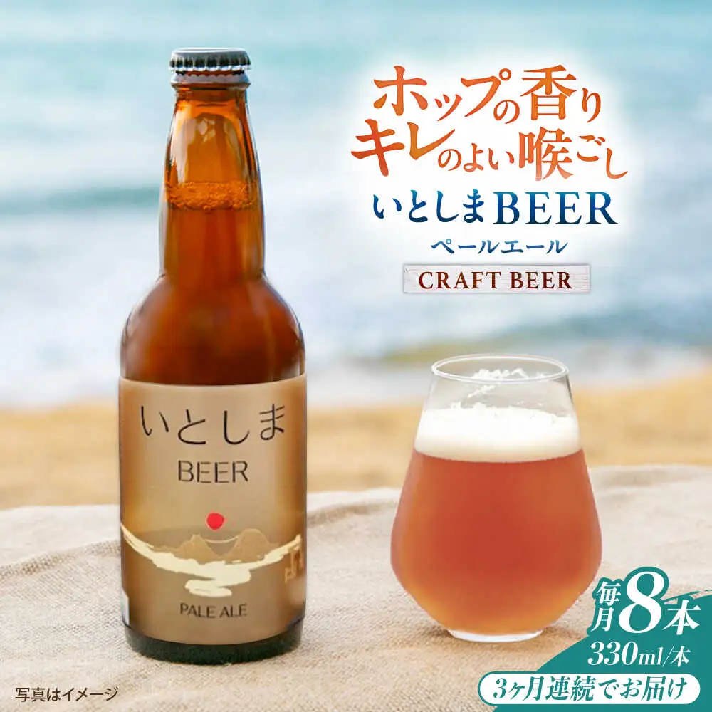 【全3回定期便】いとしまBEER (ペールエール) 330ml×8本 糸島市 / 蔵屋 クラフトビール[AUA053]