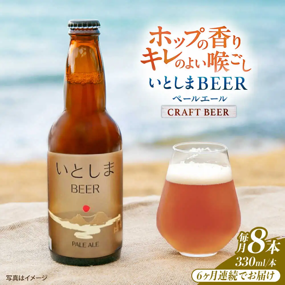 【全6回定期便】いとしまBEER (ペールエール) 330ml×8本 糸島市 / 蔵屋 クラフトビール[AUA054]