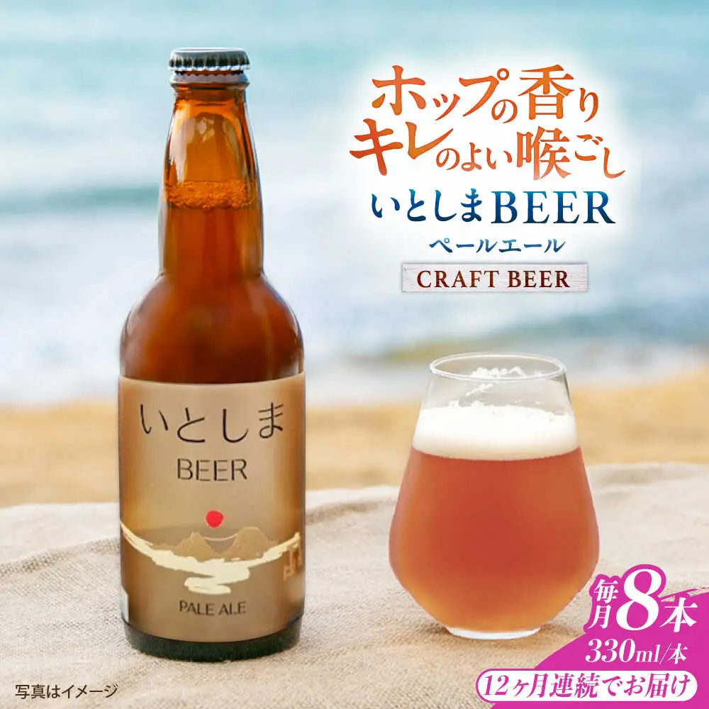 【全12回定期便】いとしまBEER (ペールエール) 330ml×8本 糸島市 / 蔵屋 クラフトビール[AUA055]
