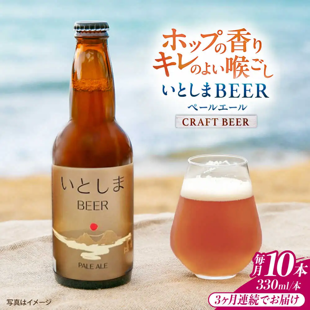 【全3回定期便】いとしまBEER (ペールエール) 330ml×10本 糸島市 / 蔵屋 クラフトビール[AUA056]