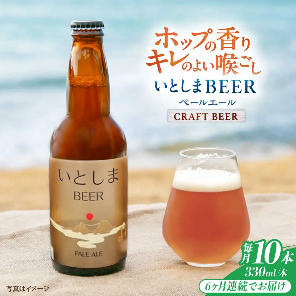 【全6回定期便】いとしまBEER (ペールエール) 330ml×10本 糸島市 / 蔵屋 クラフトビール[AUA057]