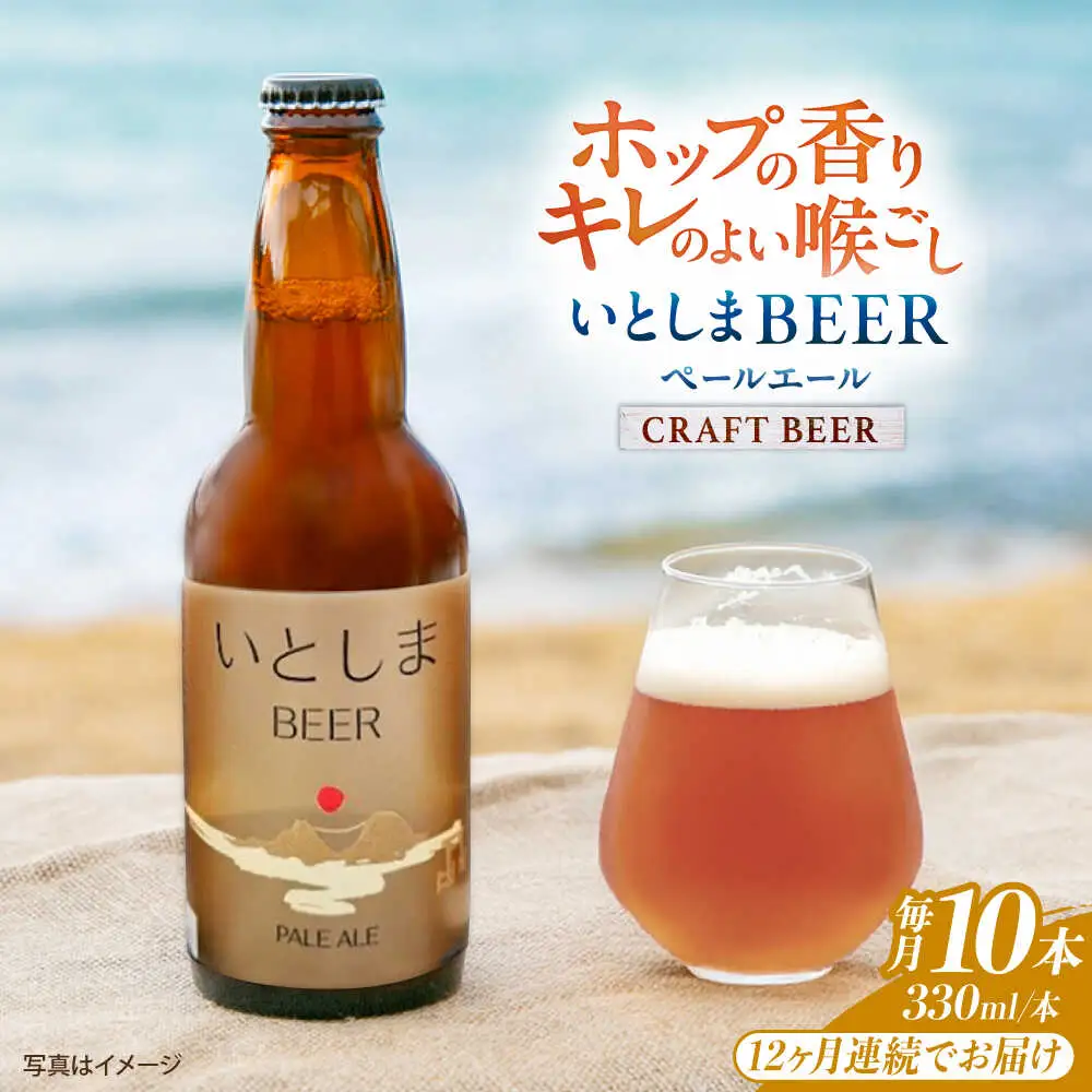 【全12回定期便】いとしまBEER (ペールエール) 330ml×10本 糸島市 / 蔵屋 クラフトビール[AUA058]