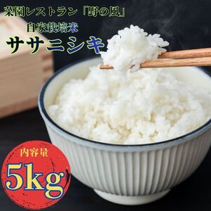 【令和7年産】数量限定 　菜園レストラン「野の風」自家栽培米　ササニシキ5kg【hnyk006】