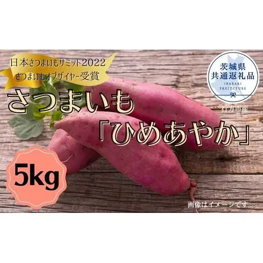 さつまいも「ひめあやか」約5kg（2025年産）（茨城県共通返礼品・行方市産） ／ さつまいも さつま芋 サツマイモ 薩摩芋 甘薯 ひめあやか 5kg 野菜 茨城県 送料無料