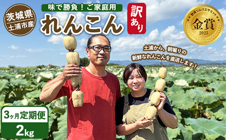 【定期便3ヶ月】【訳あり】土浦市産 れんこん 2㎏　味で勝負！タップリ大満足！ すずき蓮根農園のご家庭用れんこん「竹 2キロ」 ｜ 産地直送 茨城県 レンコン 蓮根 野菜 シャキシャキ ※離島への配送不可 ※ 2026年1月上旬より順次発送予定