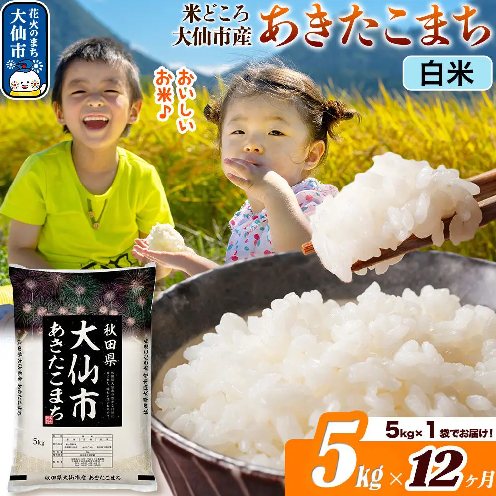 米《定期便12ヶ月》あきたこまち【白米】 米どころ秋田県大仙市産 令和7年産 精米 5kg（5kg×1袋）