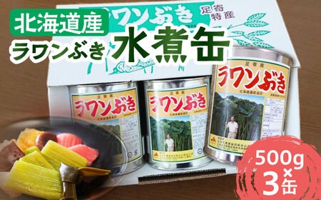 ラワンぶき水煮缶 500g×3缶《足寄町》【NPO法人あしょろ観光協会】 ふき [BEAE010]