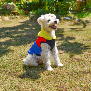 Wants ドッグウェア ビタミンフーディ(ブルー・Mサイズ) パーカー | ニット 五泉ニット 犬 ペット 新潟県 五泉市