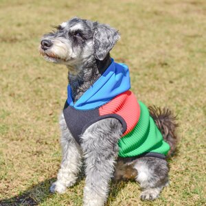 Wants ドッグウェア ビタミンフーディ(グリーン・Mサイズ) パーカー | ニット 五泉ニット 犬 ペット 新潟県 五泉市