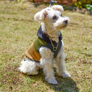 Wants ドッグウェア ビタミンフーディ(オリーブ・Mサイズ) パーカー | ニット 五泉ニット 犬 ペット 新潟県 五泉市