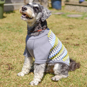 Wants ドッグウェア フライスチェック (GREY・Sサイズ) | ニット 五泉ニット 犬 ペット 新潟県 五泉市