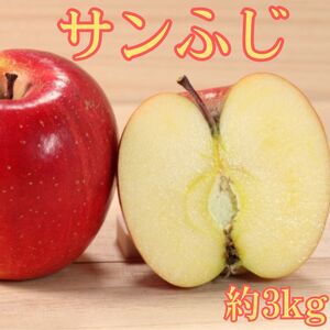 サンふじ 3kg＜2027年1月上旬より発送＞