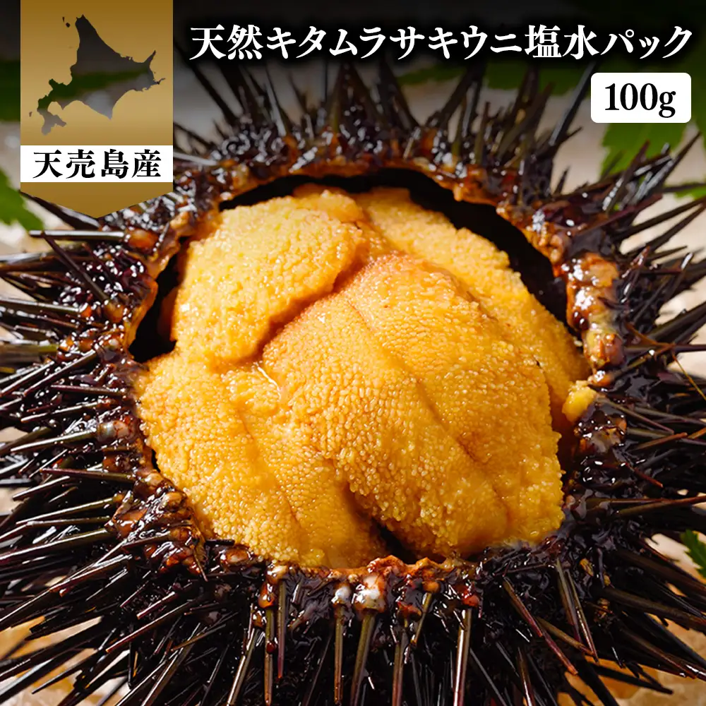 【北海道 天売島産】  天然 キタムラサキうに 塩水パック 100g×1パック【31001】