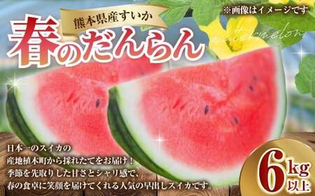 熊本県産 すいか 春のだんらん 6kg以上 スイカ 西瓜 果物 くだもの フルーツ おすすめ ギフト 贈り物 【2027年3月下旬発送開始】