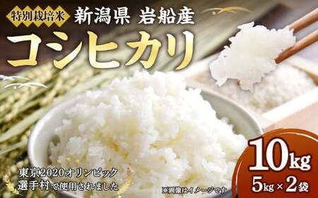 【令和7年産米】特別栽培米 新潟県村上市岩船産 コシヒカリ 10kg（5kg×2袋）1029004