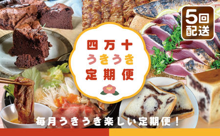四万十 うきうき定期便5万円コース 定期便 四万十市 高知 高知県 しまんと 鰹 かつお かつおのたたき 月替わり 牛肉 黒毛和牛 四万十牛 豚肉 ハラミ パン 食パン あんこ 魚介 肉 ケーキ ガトーショコラ 冷凍 39210-999-9002