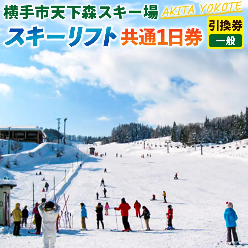 横手市天下森スキー場 スキーリフト共通1日券（一般）引換券 ゆうパケット