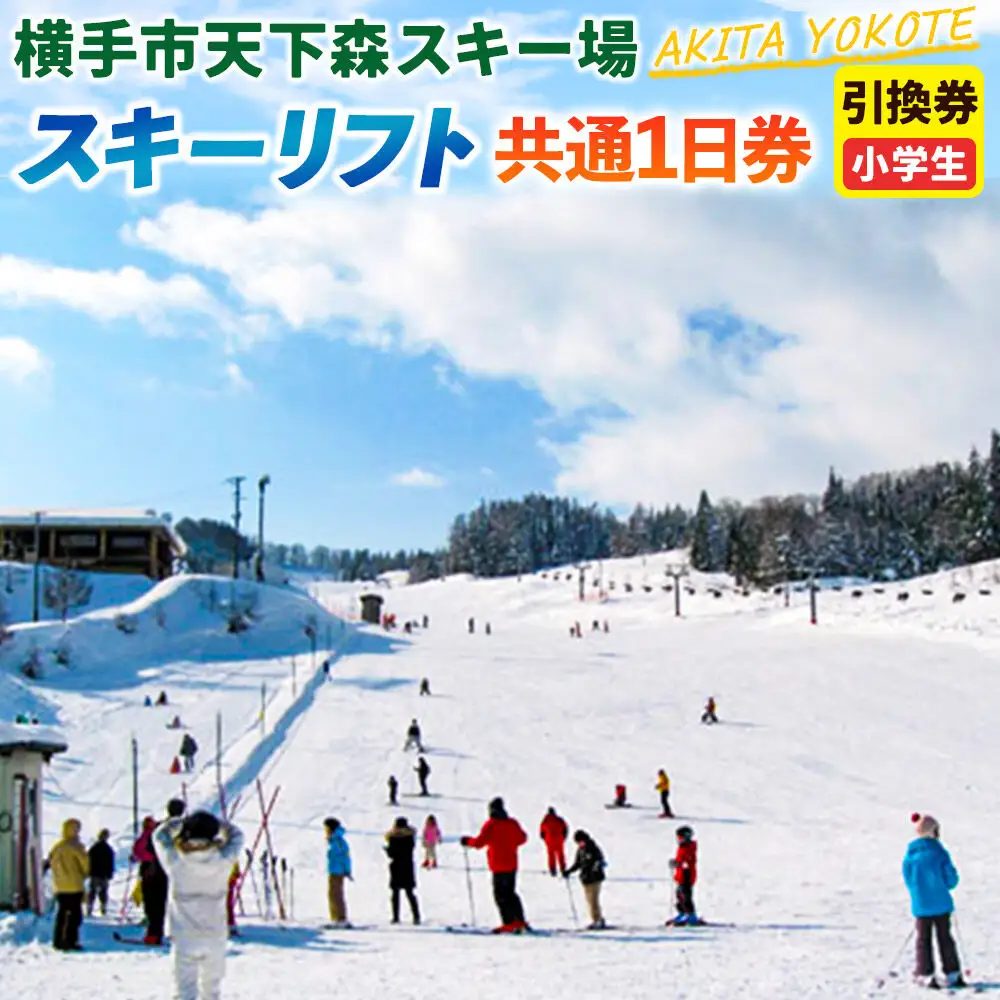 横手市天下森スキー場 スキーリフト共通1日券（小学生）引換券 ゆうパケット