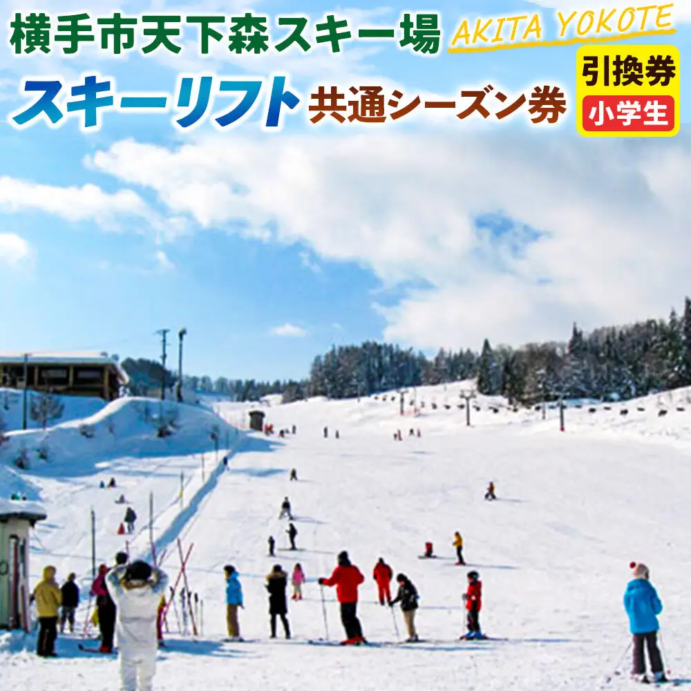 横手市天下森スキー場 スキーリフト共通シーズン券（小学生）引換券 ゆうパケット