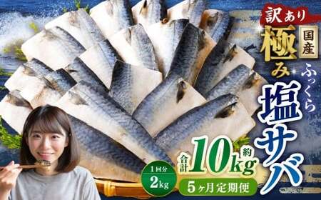 【5ヶ月定期便】【訳あり】国産 ふっくら 極み塩サバ 計約2kg ／ 1切れ 塩サバ 塩さば 塩鯖 さば サバ 鯖 魚