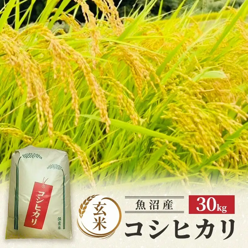 【令和7年産】魚沼産コシヒカリ(玄米)30kg 米 コメ こしひかり ブランド米 お取り寄せ 魚沼市