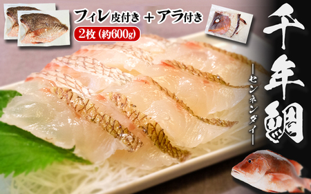 C3-7707／康秀の千年鯛 フィレ 2柵（皮つき・計約600g）＋アラ付