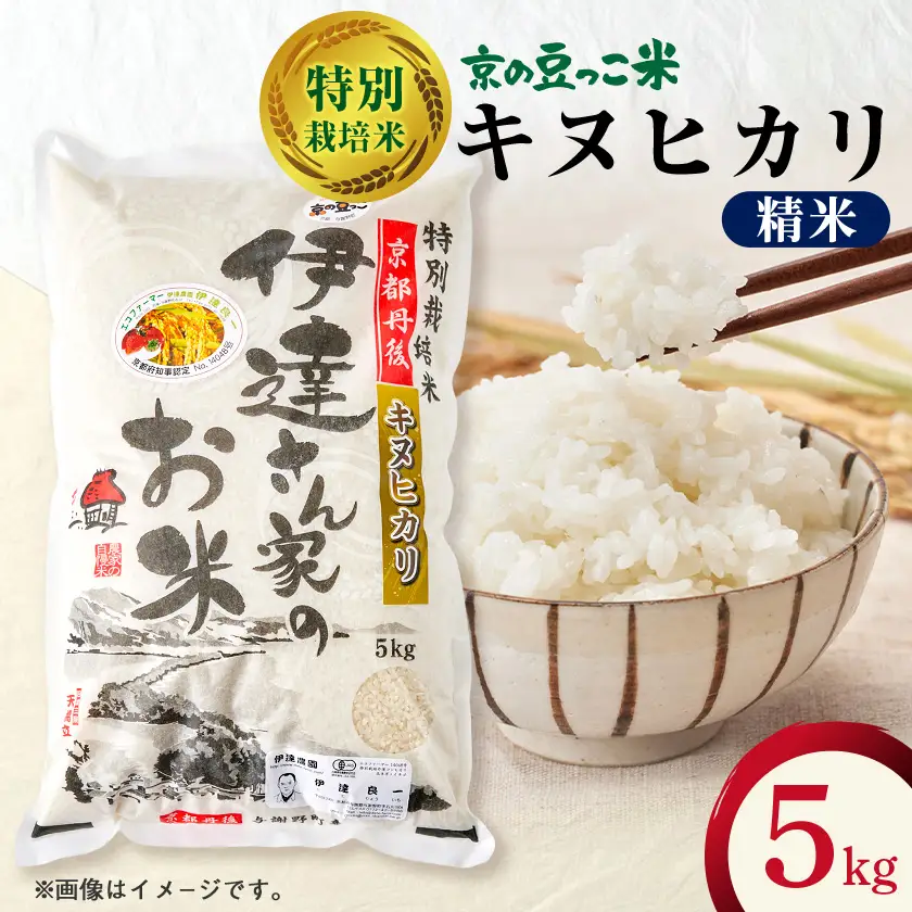 令和7年産米　特別栽培キヌヒカリ「京の豆っこ米」精米5kg　京都与謝野町　【伊達農園】　数量限定【1684174】