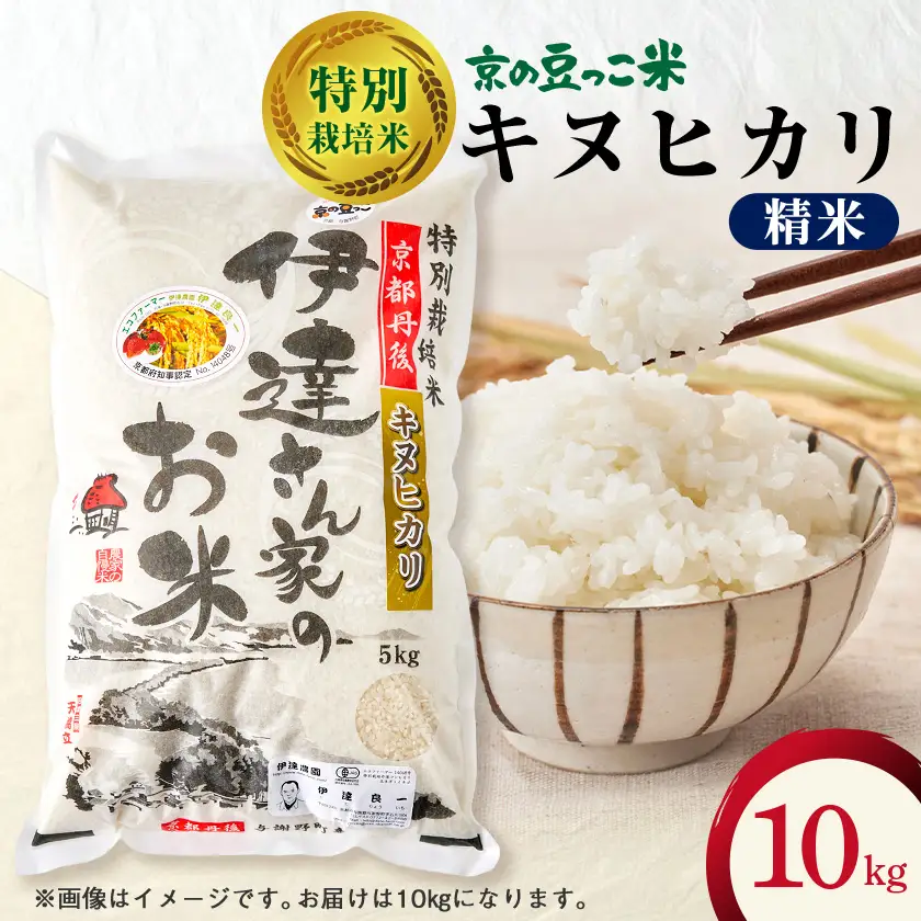 令和7年産米　特別栽培キヌヒカリ「京の豆っこ米」精米10kg　京都与謝野町　【伊達農園】　数量限定【1684179】