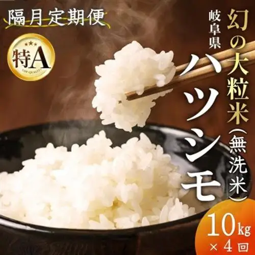 【2ヵ月毎定期便】岐阜県産ハツシモ(無洗米) 10kg全4回【配送不可地域：離島】【4076361】