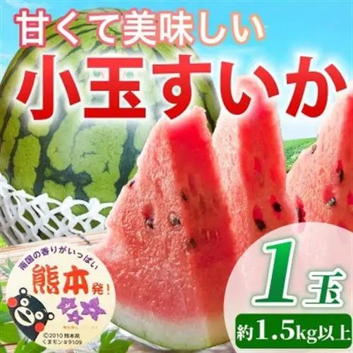 【先行予約】 熊本県産 高糖度! 美味しさひとりじめ! 小玉すいか 1玉入り 約1.5kg以上【1684315】