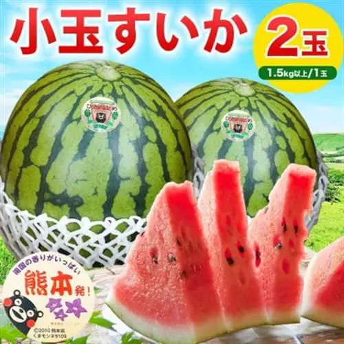 熊本県産 旬 シャリ感 食べきり 小玉すいか スイカ 3Lサイズ 約3kg以上(2玉入り)(益城町)【1684316】