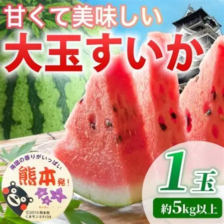 【先行予約】 熊本県産 暑い季節の水分補給に! 大玉すいか 1玉入り L以上 約5kg以上(益城町)【1684323】