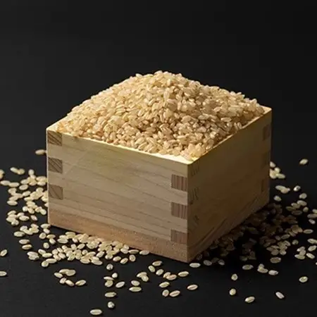 先行予約【令和8年産】栽培期間中農薬不使用米 つや姫玄米 10kg【1683657】