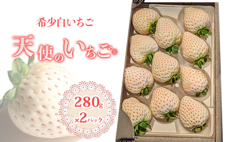 いちご 『先行予約』【2027年1月中旬以降お届け】 天使のいちご 白いちご 280g×2p 計2パック 560g フルーツ いちご 苺 イチゴ 果物 デザート 福岡県 小郡市 福田ファーム ※配送不可：沖縄、離島