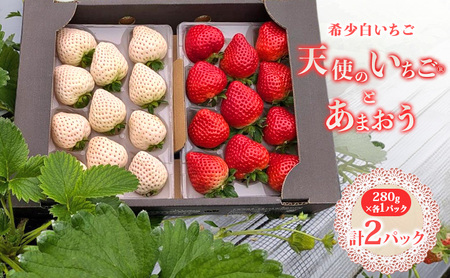 いちご 『先行予約』【2027年1月中旬以降お届け】 天使のいちご 大粒白いちご 280g×1p 厳選あまおうDX 280g×1p 計2パック 560g フルーツ いちご 果物 デザート ※配送不可：沖縄、離島