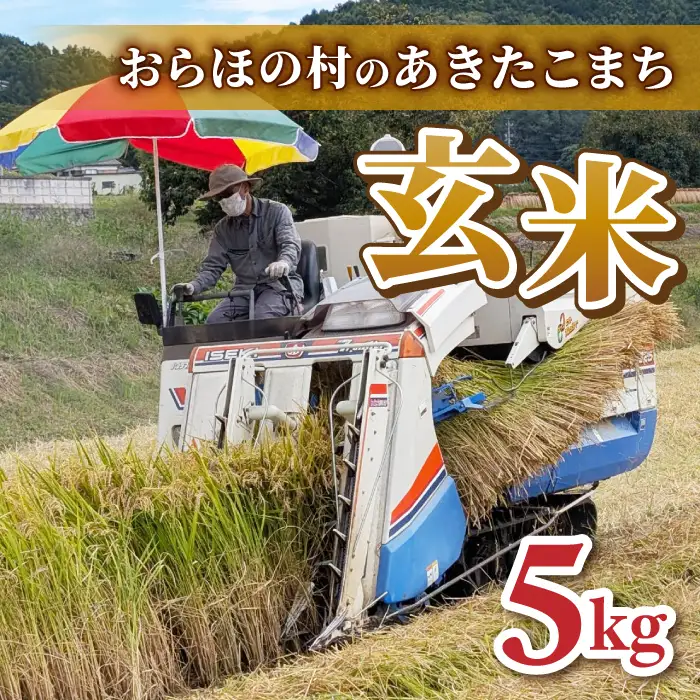【田沢おらほ村】R8年産新米！あきたこまち　玄米5kg　※2026年11月中旬以降発送予定