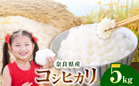 奈良県産 コシヒカリ 精米 5kg 【令和7年産】| 米 精米 コシヒカリ もちもち 奈良県 五條市