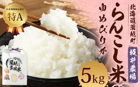 ＜令和7年産＞ らんこし米 （ゆめぴりか） 5kg （坂井農場） 【2025年11月上旬発送開始】