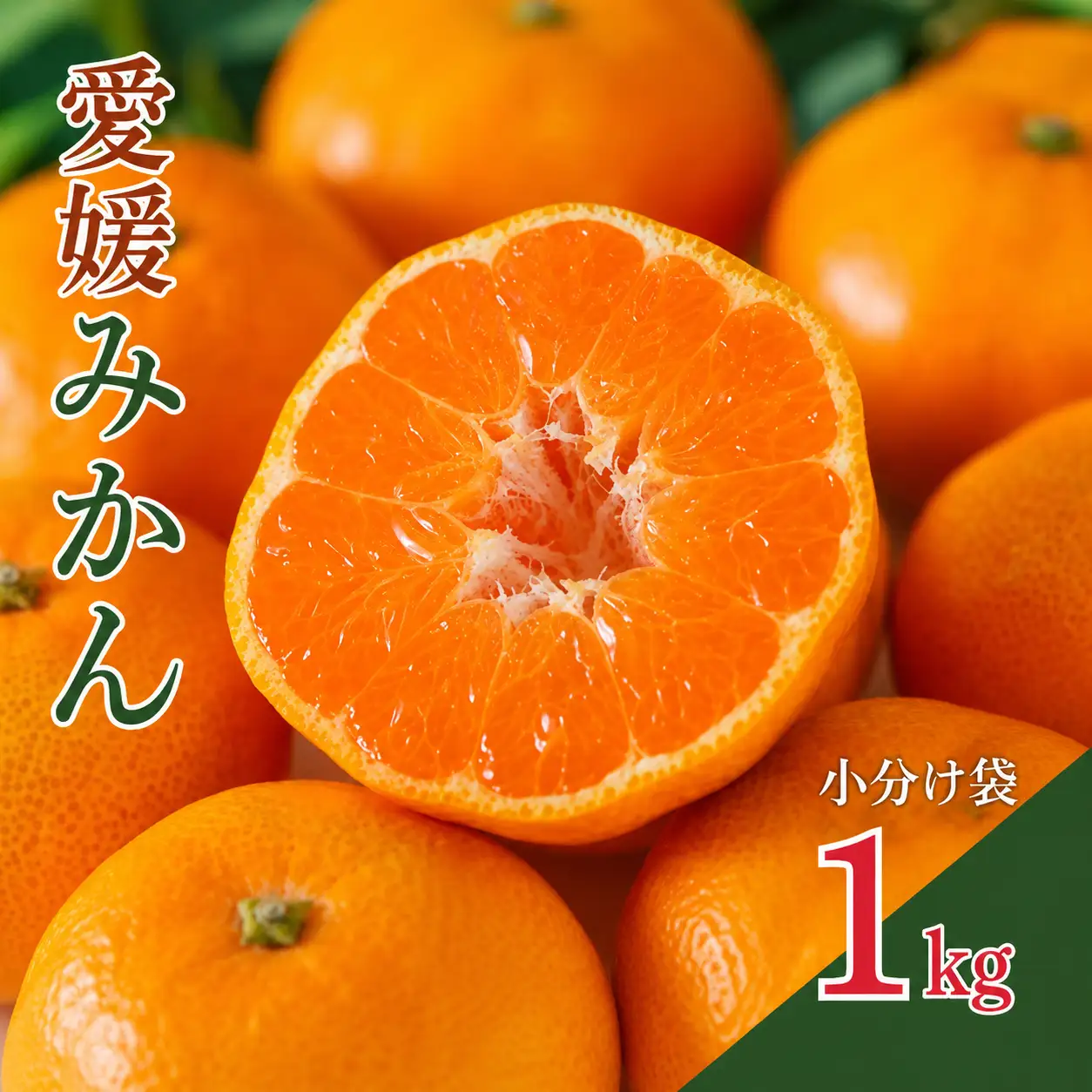 【先行予約】【発送期間：2026年10月～なくなり次第終了】愛媛みかん 約1kg みかん
