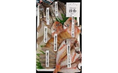 味のヤマスイ　形原漁港　がまごおり撰魚セット_【G0125】