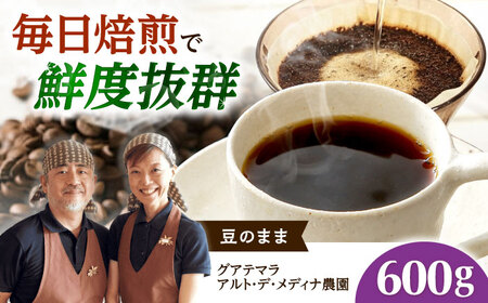 グアテマラ アルト・デ・メディナ農園  600g 豆のまま[AOEL006-01]