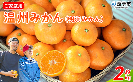 ＜温州みかん（明浜みかん） 家庭用 約2kg＞ 温州 うんしゅう みかん 蜜柑 旬 果物 フルーツ 柑橘 明浜 低農薬 ご家庭用 国産 愛媛県産 送料無料 特産品 井上農園 愛媛県 西予市【常温】『2025年11月～12月中旬迄に順次出荷』AIK0001