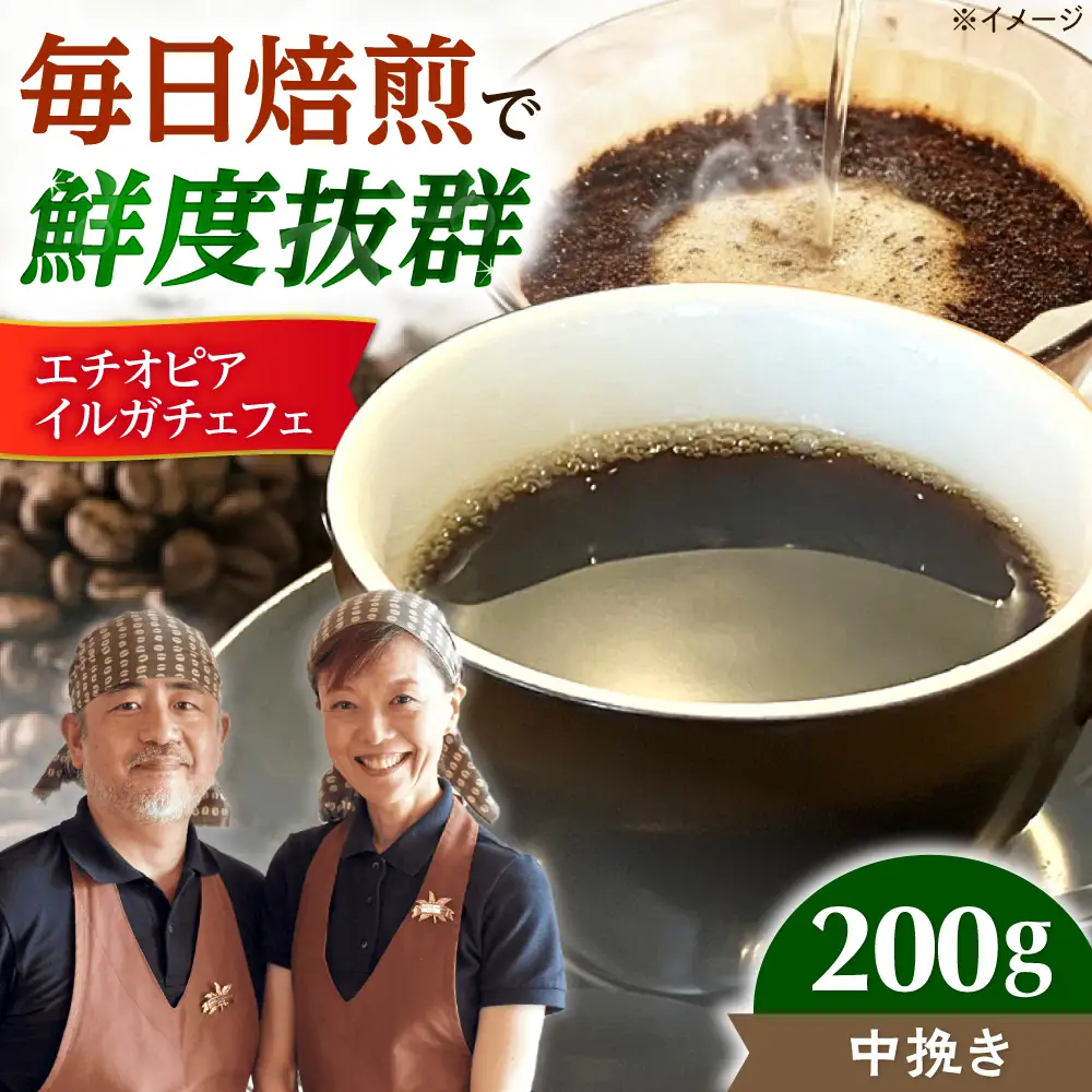 【スピード発送】エチオピア・イルガチェフェ  200g 中挽き コーヒー 珈琲 豆 粉 コーヒー豆 コーヒー粉 ドリップ ギフト 大阪府高槻市/自家焙煎コーヒー マウンテン[AOEL013-02]