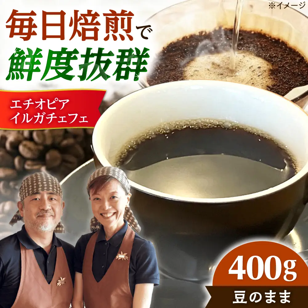 【スピード発送】エチオピア・イルガチェフェ  400g 豆のまま コーヒー 珈琲 豆 粉 コーヒー豆 コーヒー粉 ドリップ ギフト 大阪府高槻市/自家焙煎コーヒー マウンテン[AOEL014-01]