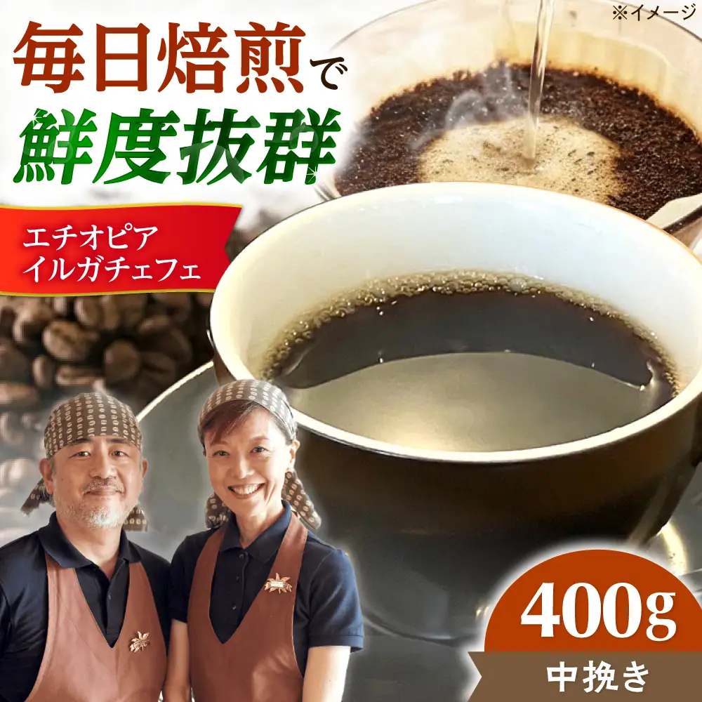 【スピード発送】エチオピア・イルガチェフェ  400g 中挽き コーヒー 珈琲 豆 粉 コーヒー豆 コーヒー粉 ドリップ ギフト 大阪府高槻市/自家焙煎コーヒー マウンテン[AOEL014-02]