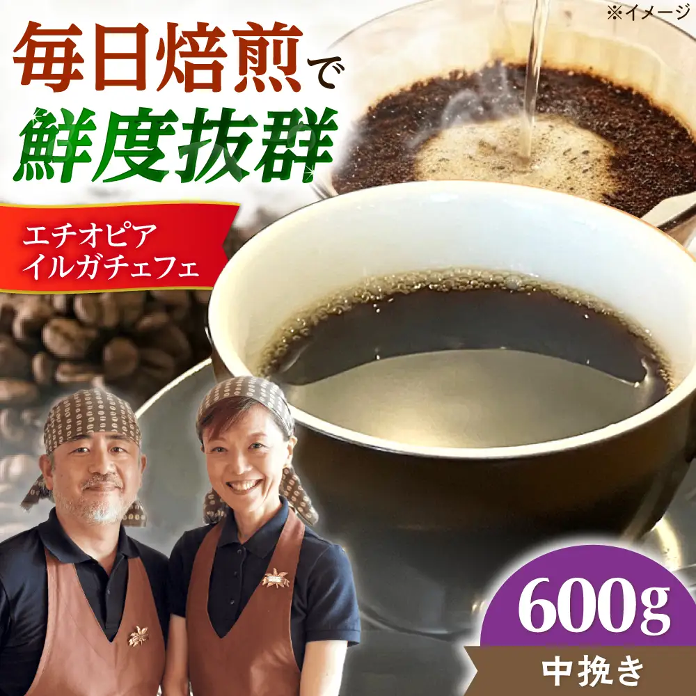 【スピード発送】エチオピア・イルガチェフェ  600g 中挽き コーヒー 珈琲 豆 粉 コーヒー豆 コーヒー粉 ドリップ ギフト 大阪府高槻市/自家焙煎コーヒー マウンテン[AOEL015-02]