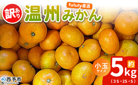 ＜fululy直送 温州みかん 訳あり 約5kg 小玉サイズ（3S～S）＞ ワケアリ サイズ混合 小玉 果物 フルーツ 蜜柑 うんしゅうみかん ウンシュウミカン 柑橘 家庭用 合同会社fululy 直送 愛媛県 西予市【常温】『2025年11月上旬～2026年2月上旬迄に順次出荷』 AGF0002